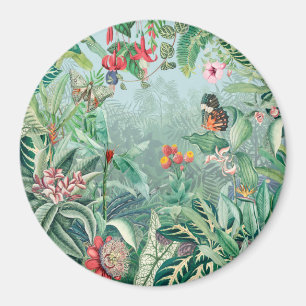 Imã Paraíso tropical