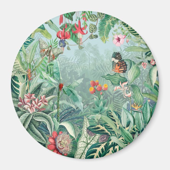 Imã Paraíso tropical (Frente)