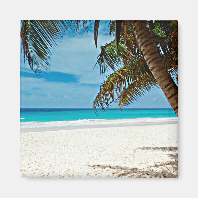 Imã Paraíso tropical (Frente)