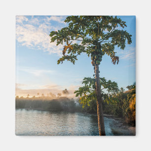 Imã Paraíso Tropical ao Pôr do Sol, Fiji