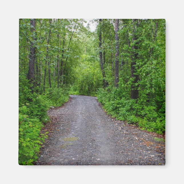 Imã Paraíso Verde (Frente)