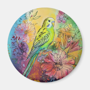 Imã Parakeet