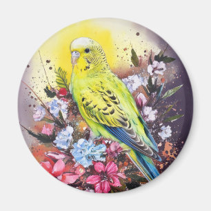 Imã Parakeet