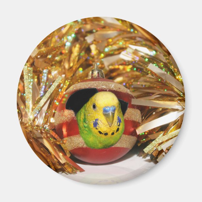 Imã Parakeet Christmas (Frente)