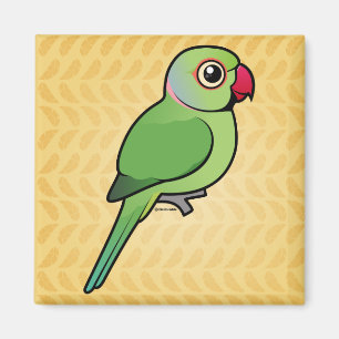 Imã Parakeet Rosa-rodeado