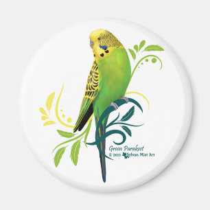 Imã Parakeet verde