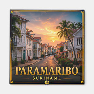 Imã Paramaribo Suriname Patrimônio Sul-Americano