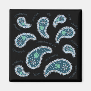 Imã Paramecia Paisley Biology Science Microbe Dark