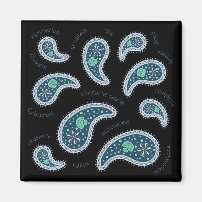 Imã Paramecia Paisley Biology Science Microbe Dark (Frente)