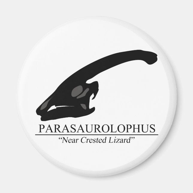 Imã Parasaurolophus (Frente)