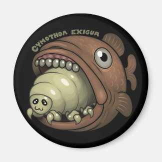 Imã PARASITAS: Cymothoa exigua