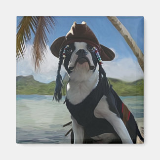 Imã Pardal do Capt Jack