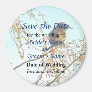 Imã Pardal em umas economias do ramo do inverno a data