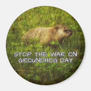Imã Pare a guerra no ímã do dia de groundhog