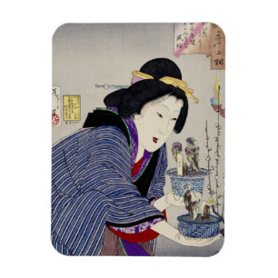 Ímã Parece que ela quer mudar: a aparência