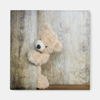 Parede de Madeira Rústica De Urso Bastante Enchido