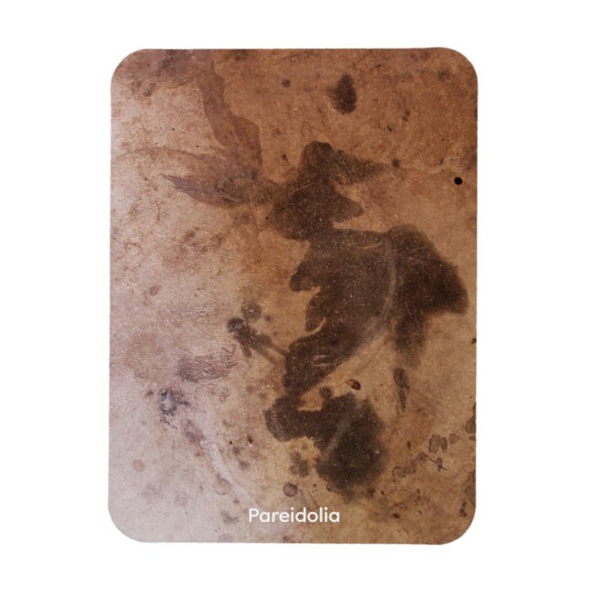 Ímã Pareidolia (Vertical)