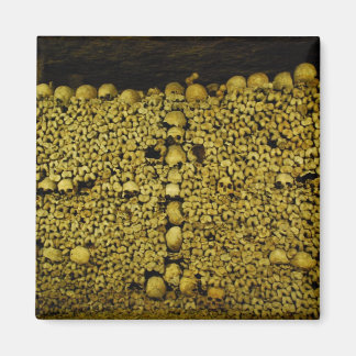 Imã Paris Catacombs Skulls e Bones