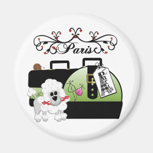 IMÃ PARIS MAGNÉTICA