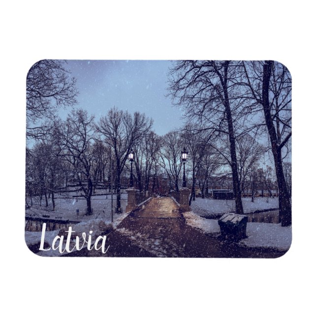 Ímã Parque da cidade de neve de inverno à noite (Horizontal)