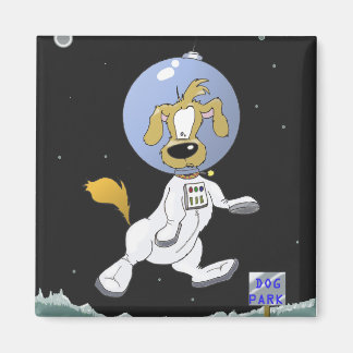 Imã Parque de Cachorros do Lunar