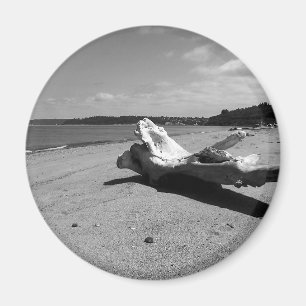 Imã Parque de Descoberta de Driftwood