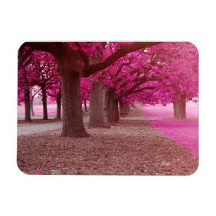 Ímã Parque de fantasia rosa