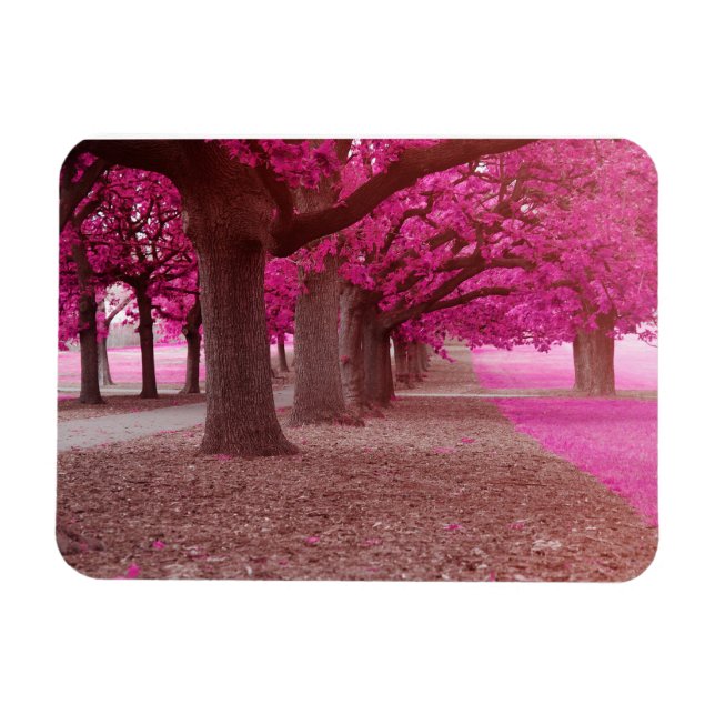 Ímã Parque de fantasia rosa (Horizontal)