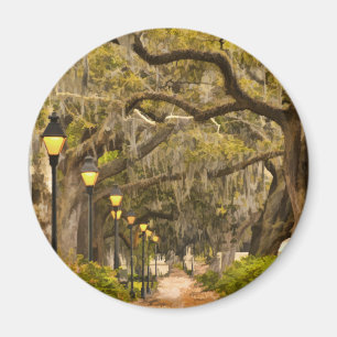 Imã Parque de Forsyth - foto, savana, Geórgia (GA) EU