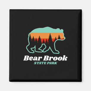 Imã Parque Estadual Bear Brook New Hampshire Montanhas