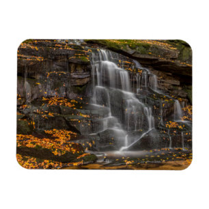 Ímã Parque Estadual Blackwater Falls