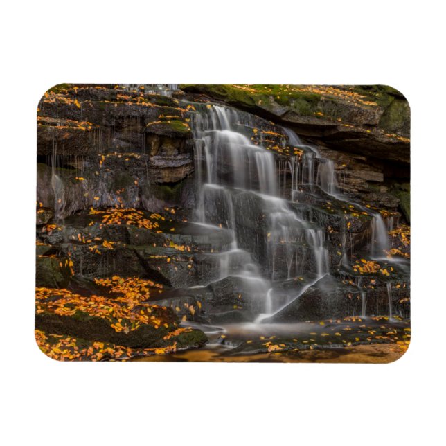 Ímã Parque Estadual Blackwater Falls (Horizontal)