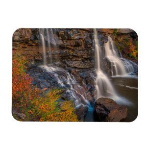 Ímã Parque Estadual Blackwater Falls Virgínia Ociden
