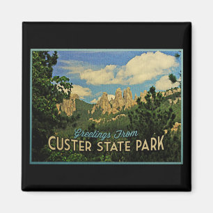 Imã Parque estadual de Custer
