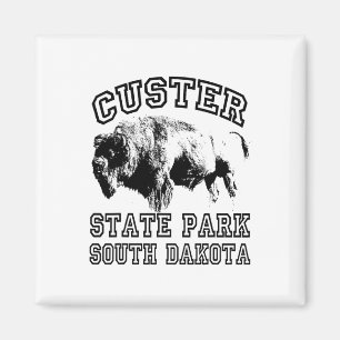 Imã Parque Estadual de Custer Dakota do Sul Búfalo Nat