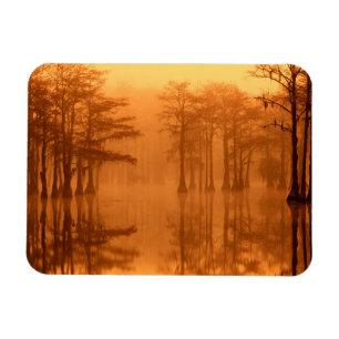 Ímã Parque Estadual de Cypress Trees George Smith