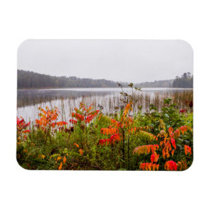 Ímã Parque Estadual de Itasca Minnesota