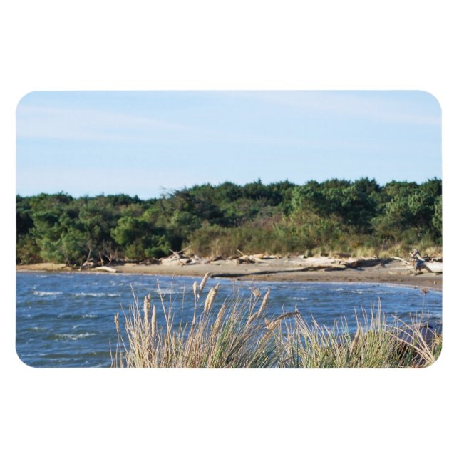 Ímã Parque Estadual de Nehalem Bay (Horizontal)