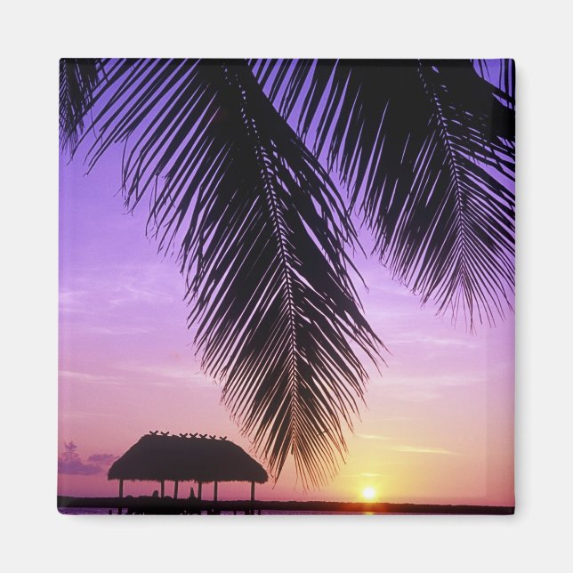 Imã Parque Estadual John Pennekamp, Florida Keys, Key (Frente)