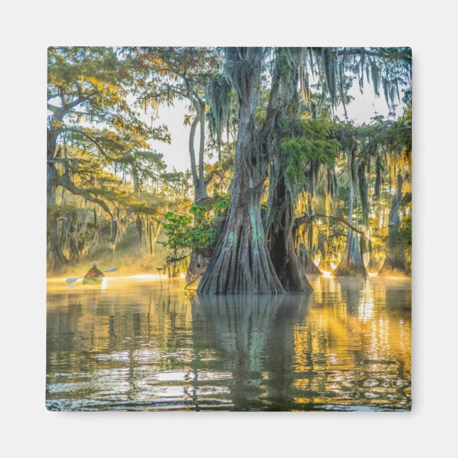 Imã Parque Estadual Lake Fausse Pointe (Frente)