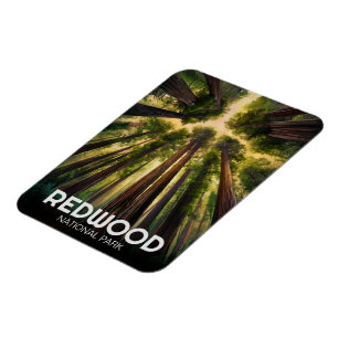 Ímã Parque Estadual Nacional Redwood, Califórnia Coste