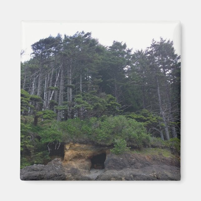 Imã Parque Estadual Netuno, OR (Frente)