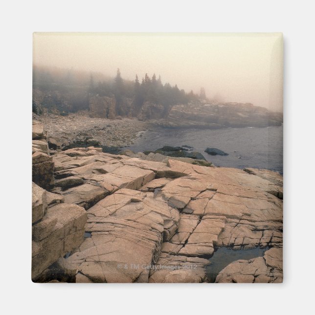 Imã Parque Nacional Acadia (Frente)