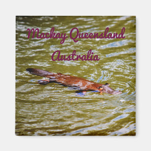 IMÃ PARQUE NACIONAL AUSTRÁLIA DE PLATYPUS EUNGELLA