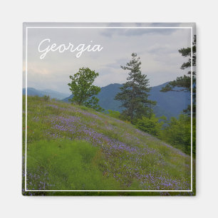 Imã Parque Nacional Borjomi-Kharagauli Georgia Caucuse