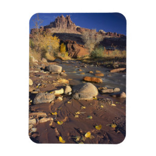 Ímã PARQUE NACIONAL CAPITOL REEF, UT, EUA, Cottonwood