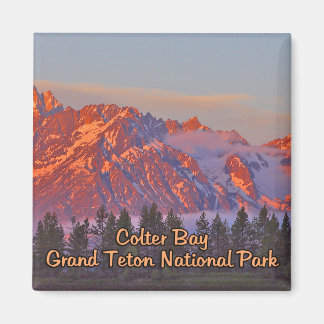 Imã Parque Nacional Colter Bay Grand Teton