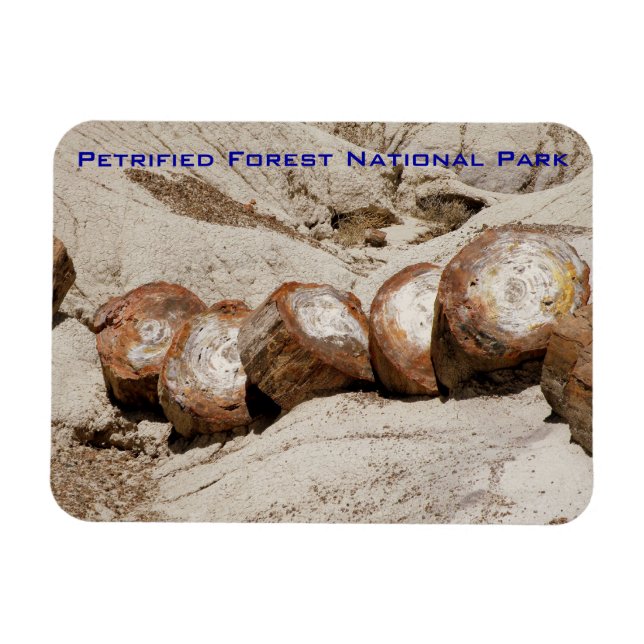 Ímã Parque Nacional da Floresta Petrificada (Horizontal)
