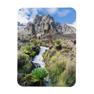 Ímã Parque Nacional da Montanha Central do Quênia