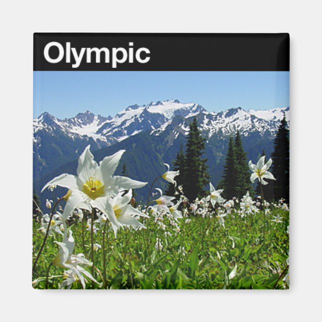 Imã Parque Nacional da olimpiadas (Frente)